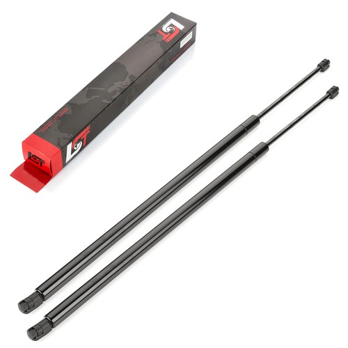 Gas spring tailgate - tailgate, damper
