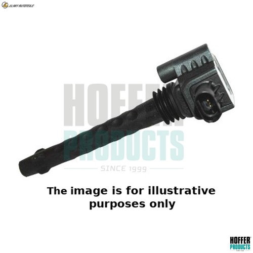 Ignition coil 8010687e - ignition,